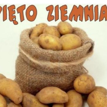 ŚWIĘTO ZIEMNIAKA