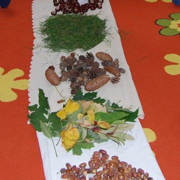 ŚCIEŻKA SENSORYCZNA – SENSORY WALK